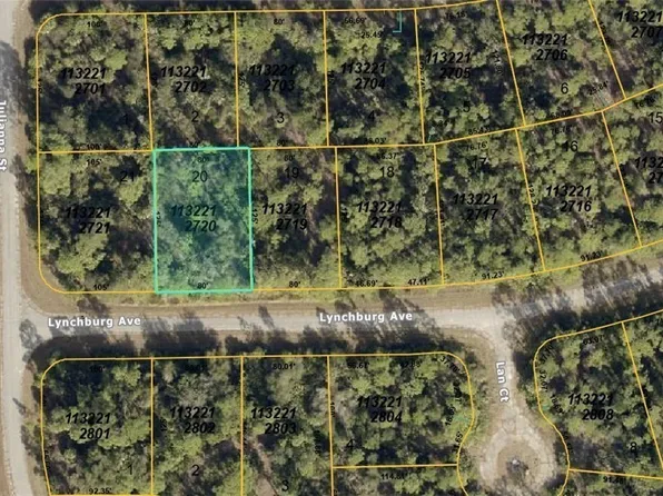 1132212720 Lynchburg Ave, North Pt, FL 34286