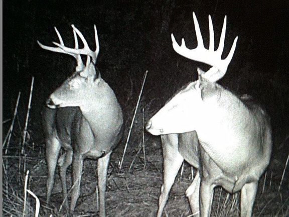 5th image of 506 Hazard Ln