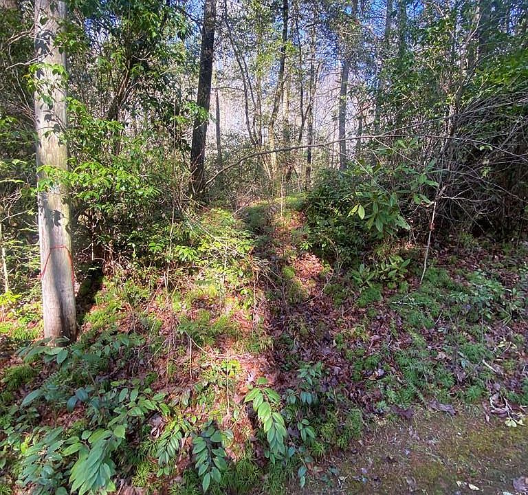 1st image of TBD Sunrise Court