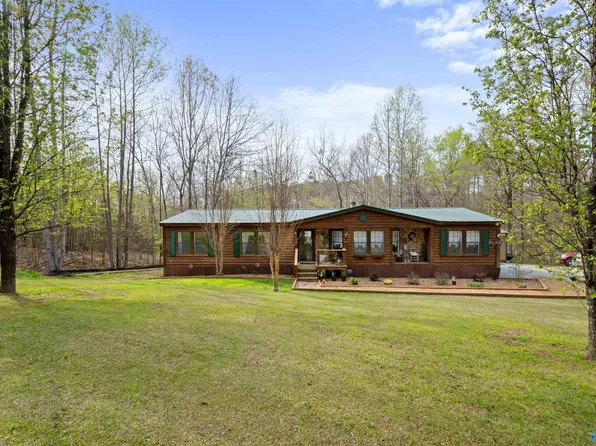 2880 Riverview Dr, Hokes Bluff, AL 35903