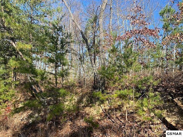 1st image of 49 Wintergreen Dr Lot 49