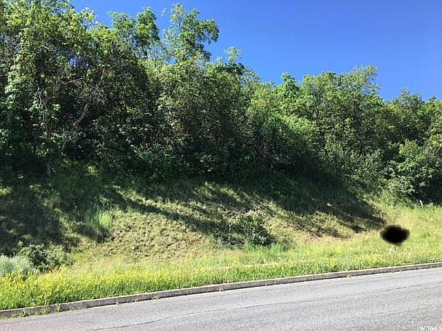 1st image of 3893 S Mountain Oaks Dr