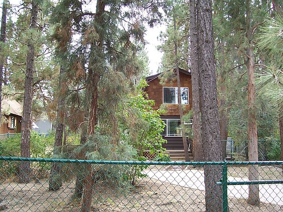 Hidden By The Trees