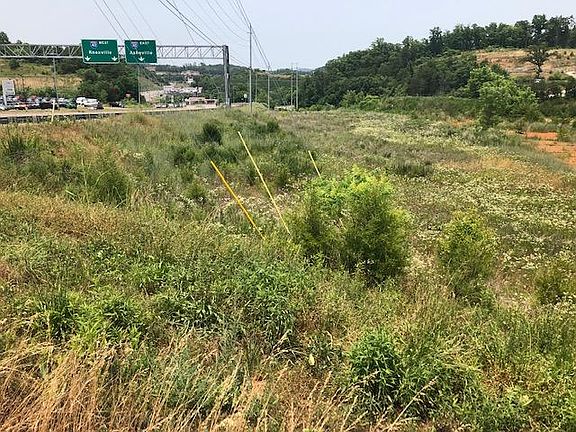 3rd image of Winfield Dunn Pkwy