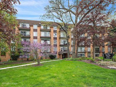 441 N Park Blvd APT 2I, Glen Ellyn, IL, 60137