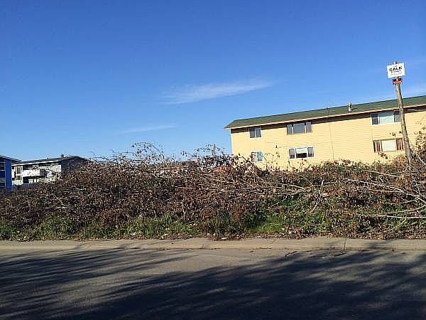 2nd image of 331 W 34th Ave