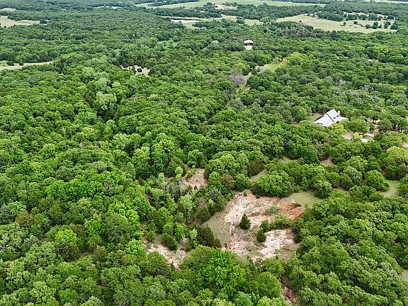 3rd image of Big Tree Rd