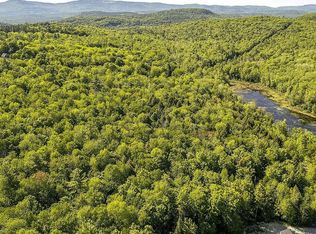 373 Hogg Hill Rd, Springfield, NH 03284