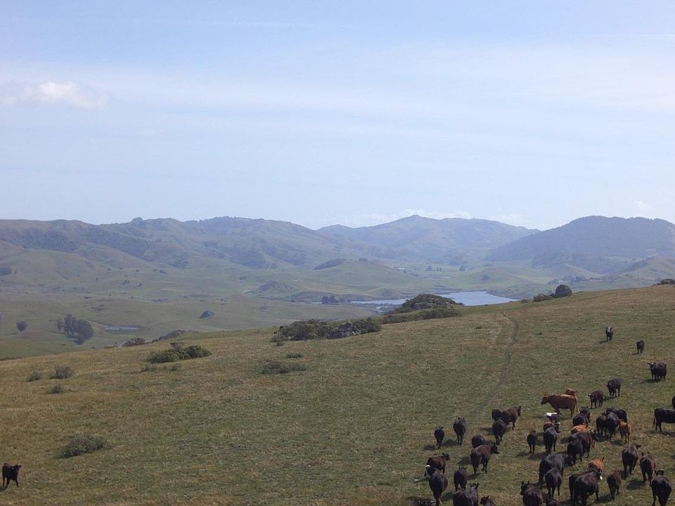 200 Tomasini Canyon Rd, Pt. Reyes Station, CA 94956 MLS 322042834