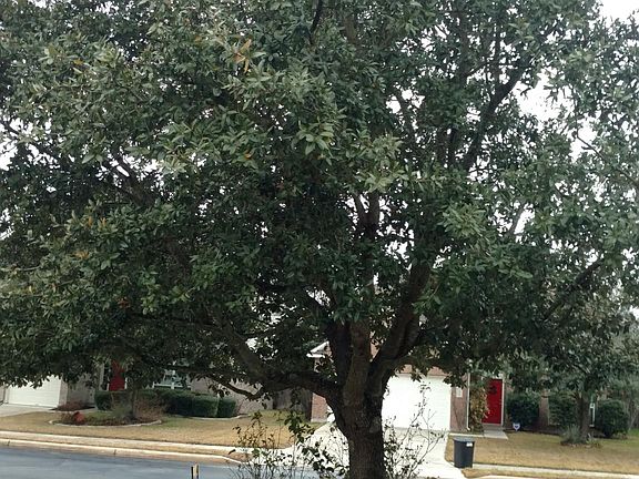 3rd image of 4528 Meadow Creek Dr