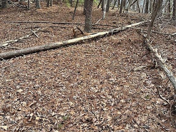 4th image of 0 Long Swamp Dr #1811