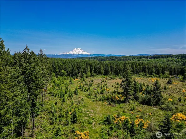 39507 18th Avenue E, Roy, WA 98580