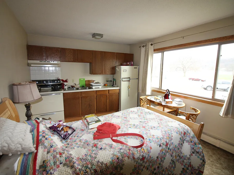 Studio (furnished view)