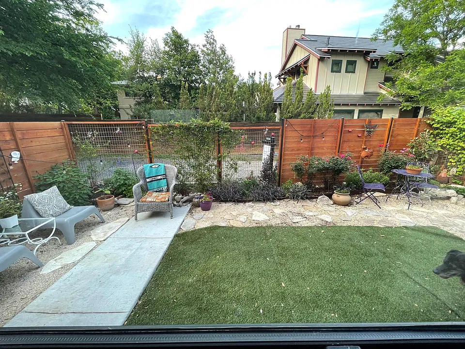 front yard with roses , jasmine and grape vines