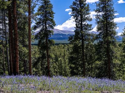 14 Elk Trl, Leadville, CO, 80461