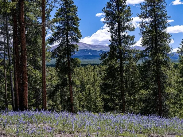 14 Elk Trl, Leadville, CO 80461