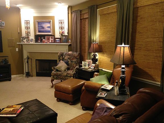 family great room, fireplace