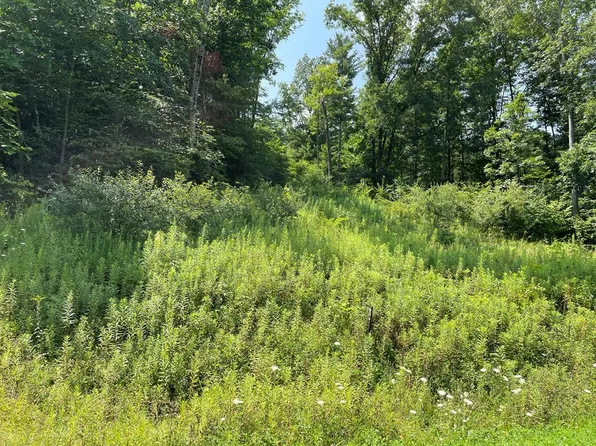 LOT-38A Hemlock Hill Rd, Towanda, PA 18848