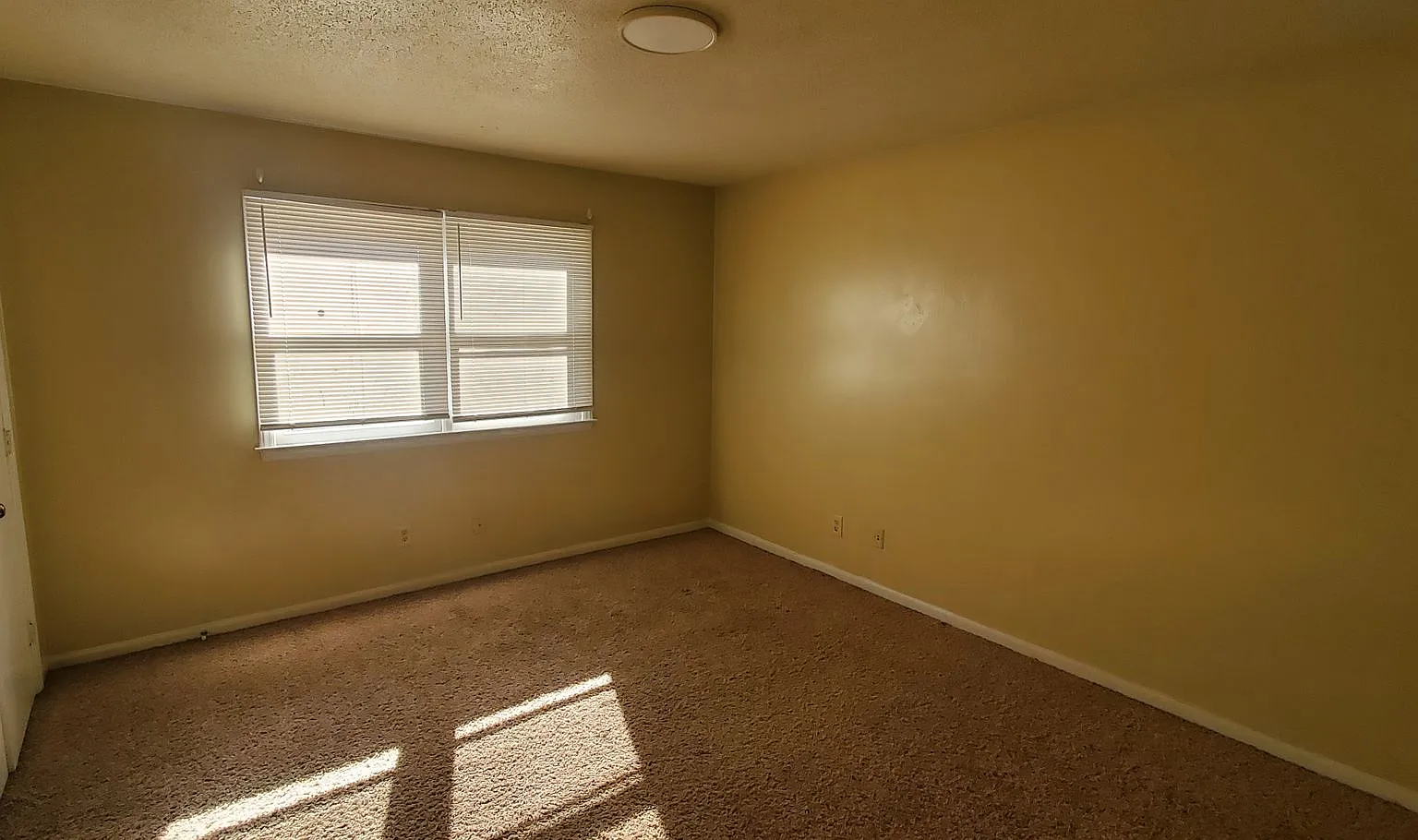 1511 Glenside Drive — Photo 4