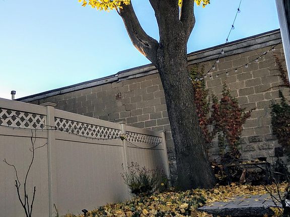Backyard in Fall