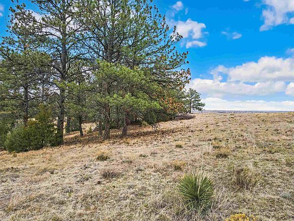 5th image of LOT 24 Hills Rd
