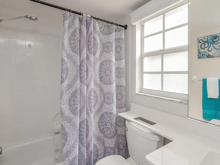 Guest bathroom