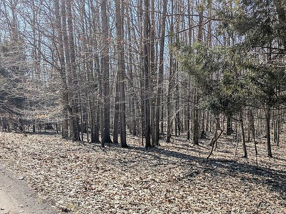 2nd image of Opal Ridge Dr #68