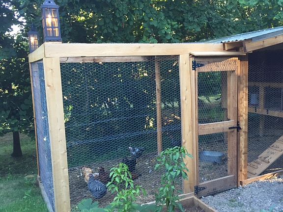 Fully enclosed chicken coop 
