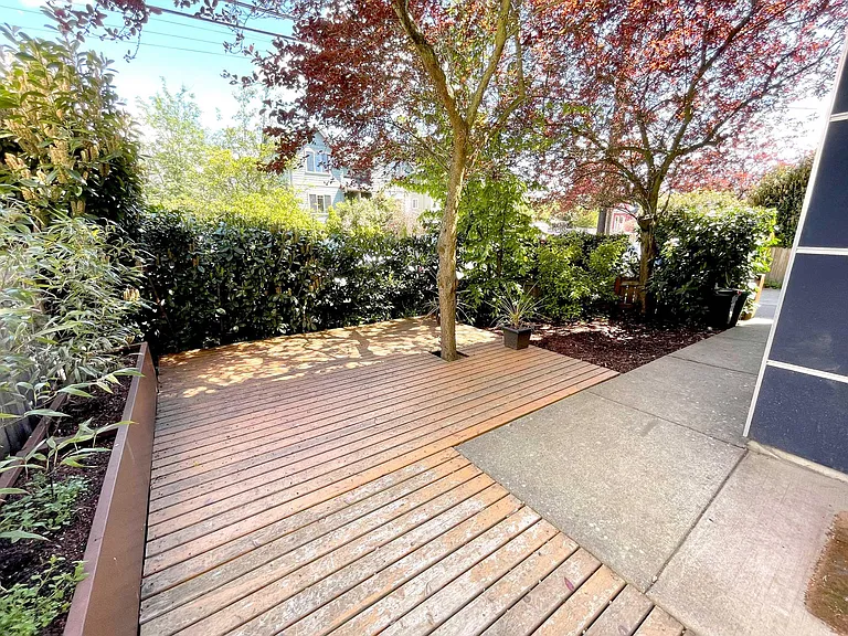 Outdoor living space with natural privacy screen