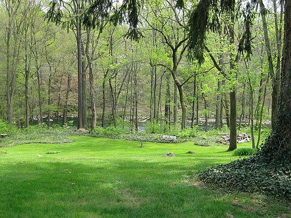 Back yard Rocky River View