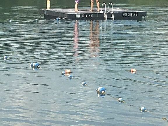 Swimming dock