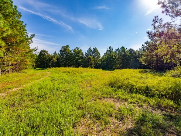 746 Vanhooser Rd, Grand Rivers, KY 42045