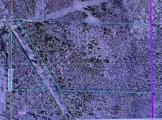 11650 16th Ave NE, Federal Dam, MN 56641