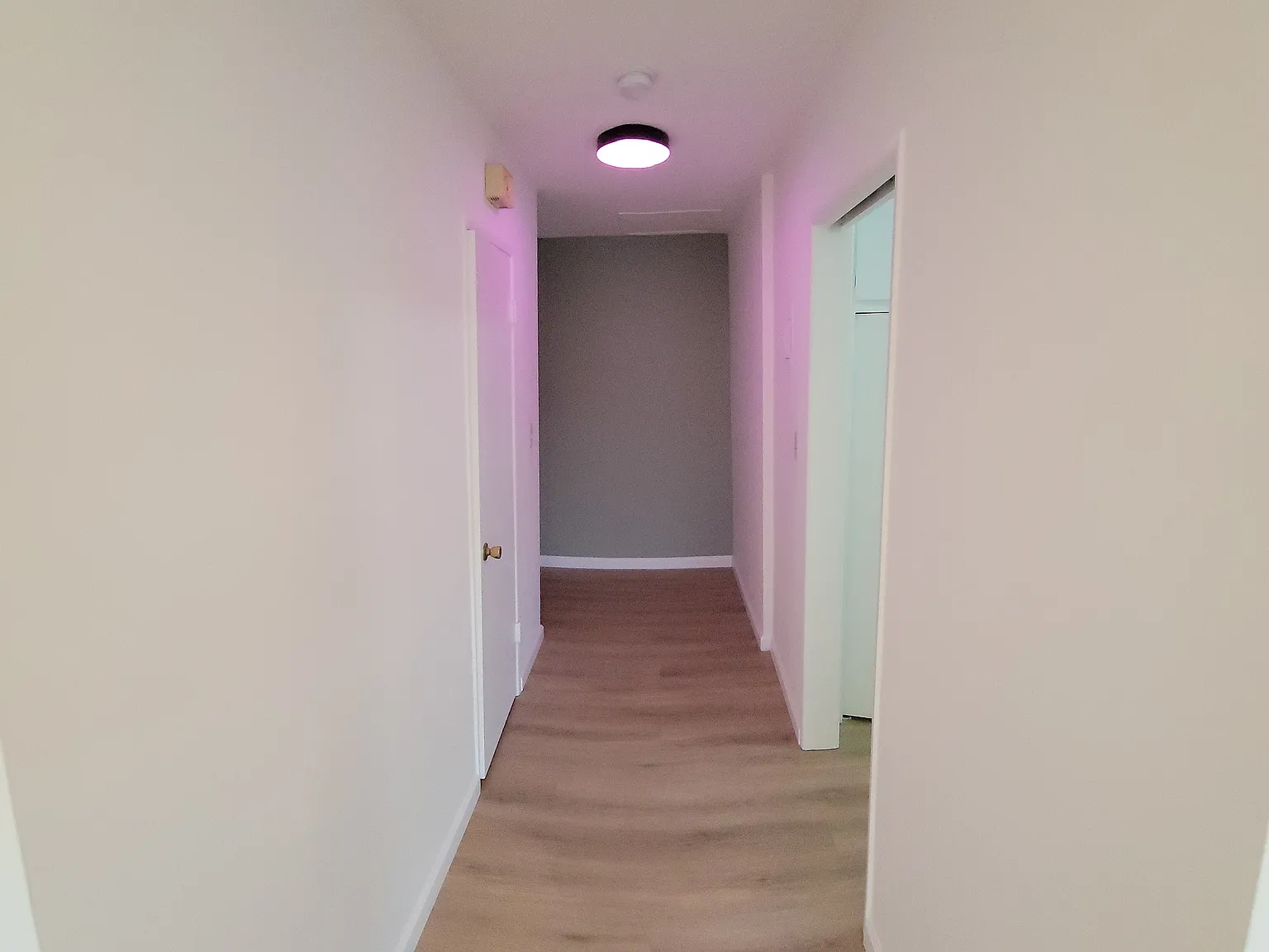 Studio, 550 sqft, $1,790 — Photo 2
