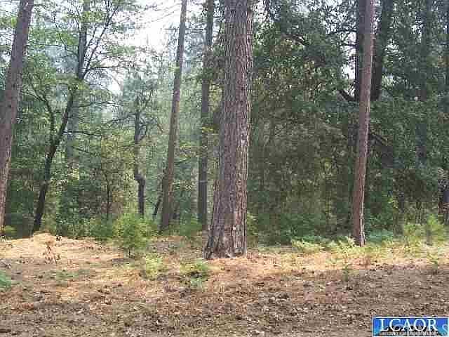 1st image of 11220 Pine Summit Dr
