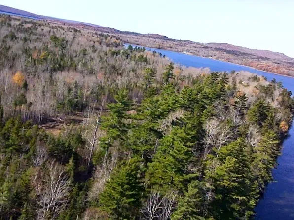 Lot #3 Runamuck Road, Perry, ME 04667
