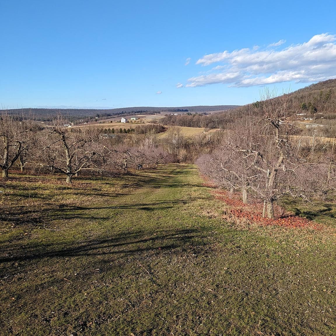 0 Mount Tabor Rd, Bendersville, PA 17306 MLS PAAD2011618 Zillow