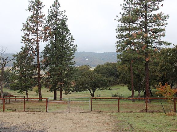 Fenced Pasture