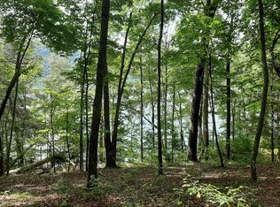 Bankwood Ln, Lafollette, TN 37766