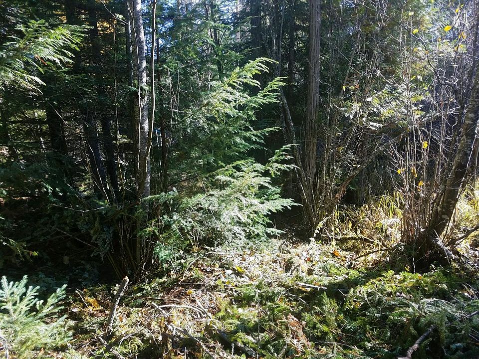 2nd image of Tbd Evergreen Ln