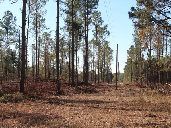 8 Old Montpelier Rd, Cedarbluff, MS 39741