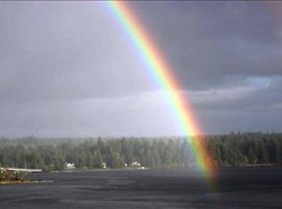 3960 E Pickering Rd, Shelton, WA 98584