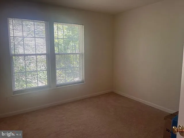 2028 Madrillon Springs Ct — Photo 19