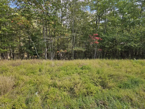 0 Holly Ln Lot 91A-B, Spencer, TN 38585