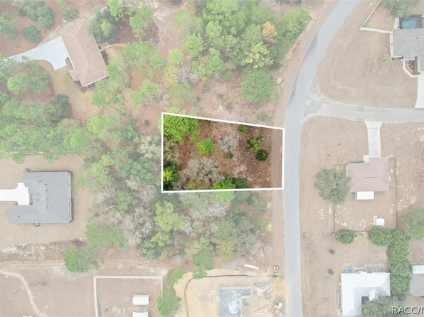 2924 W Eunice Dr, Citrus Springs, FL 34433