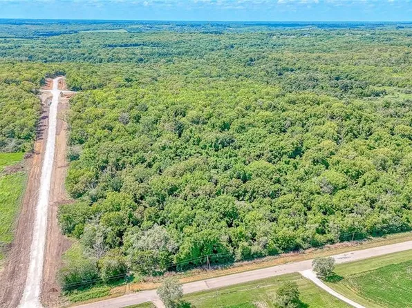 7 Deer View Estates Rd, Holden, MO 64040