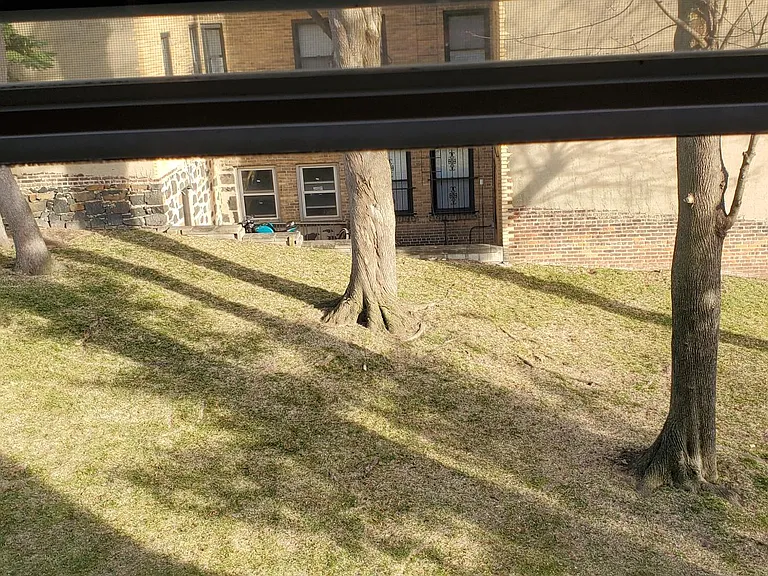 Side Yard