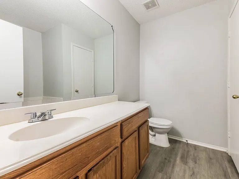 12805 Dove Field Ln — Photo 11