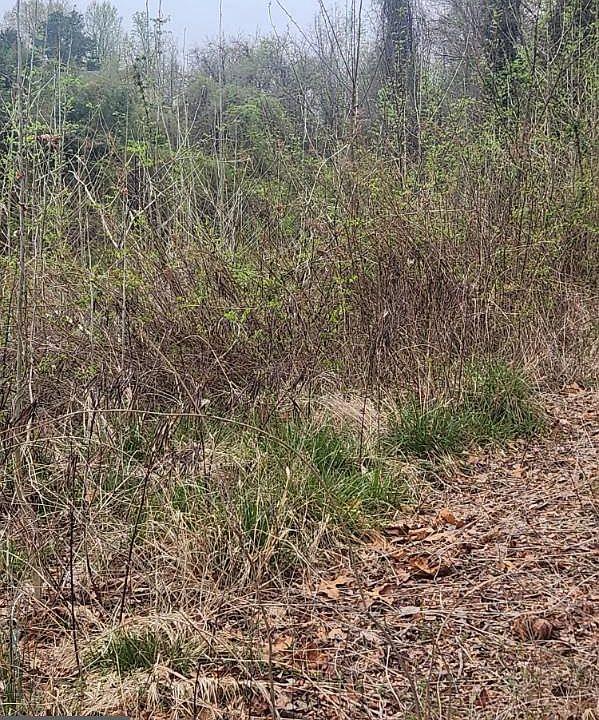 1st image of 42209 Ridge Rd