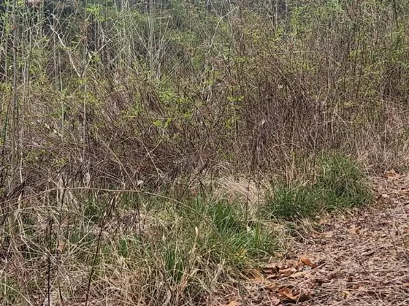 42209 Ridge Rd, Mechanicsville, MD 20659